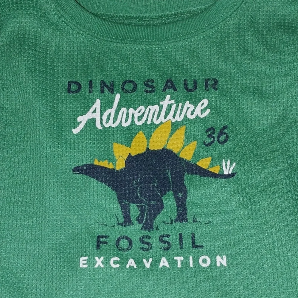 Carter's 'Dinosaur Adventure' pajamas 4T
